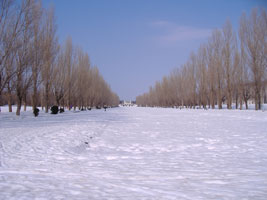 札幌市手稲区前田公園の雪景色01