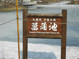 中島公園の菖蒲池01