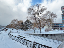 琴似発寒川河畔
