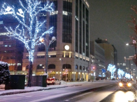 さっぽろホワイトイルミネーション