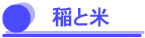 稲と米